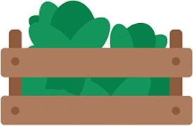 Fondo