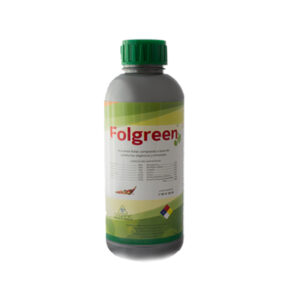 folgreen