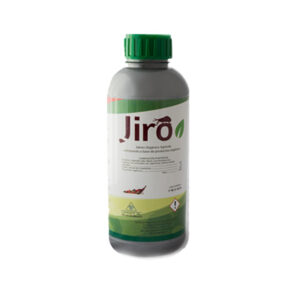 jiro